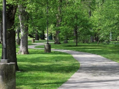 City Park